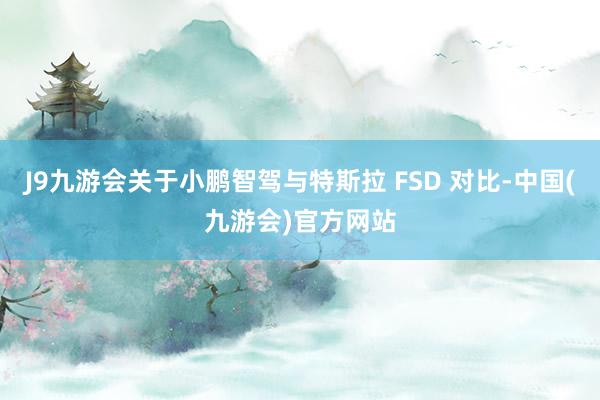 J9九游会关于小鹏智驾与特斯拉 FSD 对比-中国(九游会)官方网站